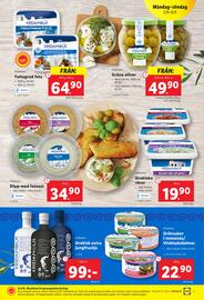 Lidl reklamblad vecka 23 Sida 9