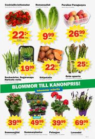 Pekås reklamblad vecka 22 Sida 7