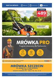 Mrówka gazetka Strona 4
