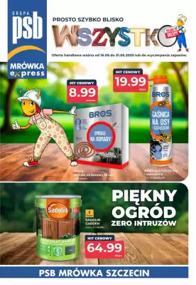 Mrówka gazetka