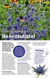 Ditjes en datjes folder Pagina 39