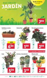 Folleto Lidl semana 23 Página 36
