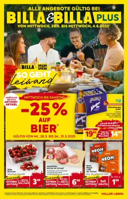 Billa Flugblatt (gültig bis 4-06)