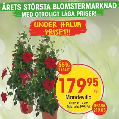 EKO reklamblad