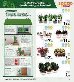 Volantino Spazio Conad Pagina 31