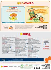 Volantino Conad City settimana 22 Pagina 4