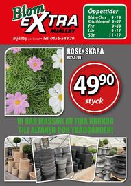 Extra Mjällby Stormarknad reklamblad vecka 22 Sida 15