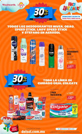 Catálogo Woolworth Página 19