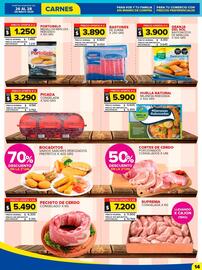 Catálogo Carrefour Maxi Página 14