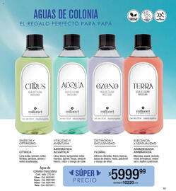 Catálogo Millanel Cosmética Página 167