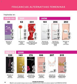 Catálogo Millanel Cosmética Página 410