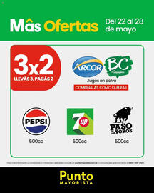 Catálogo Punto Mayorista semana 21 Página 5