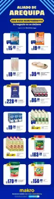 Catálogo Makro (válido hasta 1-06)