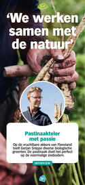 Albert Heijn folder Pagina 13