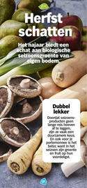 Albert Heijn folder Pagina 17