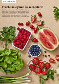 Catalog Mega Image Pagină 26
