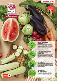 Catalog Mega Image Pagină 27