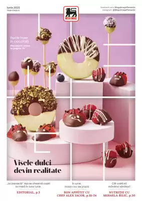 Catalog Mega Image
