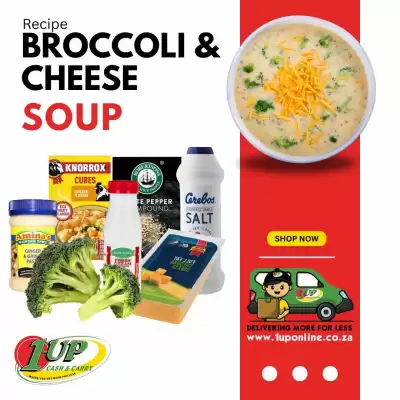 1UP catalogue (valid until 1-06)