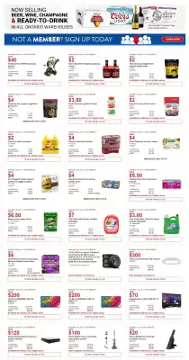 Costco flyer (valid until 3-06)