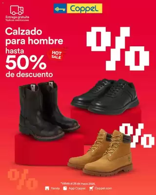 Catálogo Coppel (válido hasta 2-06)