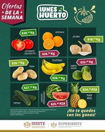 Catálogo SuperISSSTE semana 22 Página 1