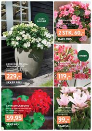 Plantorama tilbudsavis Side 2