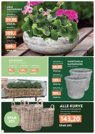 Plantorama tilbudsavis Side 6