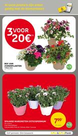 Brico folder Pagina 32
