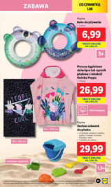 Lidl gazetka tydzień 23 Strona 39