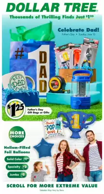 Dollar Tree Weekly Ad (valid until 15-06)