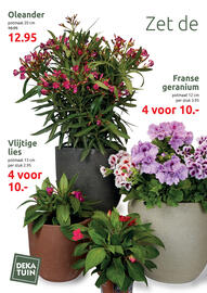 Deka Tuin folder Pagina 10