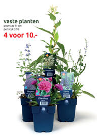 Deka Tuin folder Pagina 7