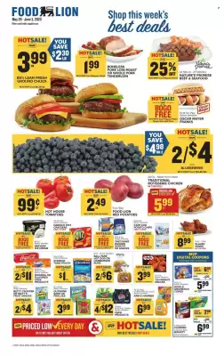 Food Lion Weekly Ad (valid until 3-06)