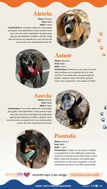 Folheto Pingo Doce | Petfood Página 15