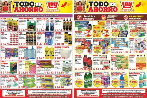Catálogo Casa Ley (válido hasta 1-06)