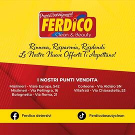 Volantino Ferdico Pagina 14