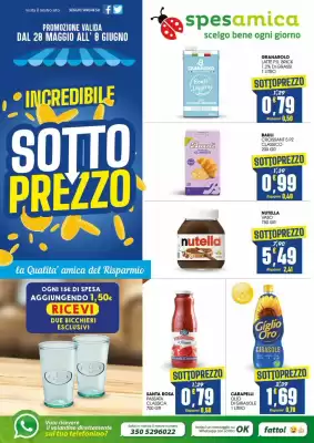 Volantino SpesAmica