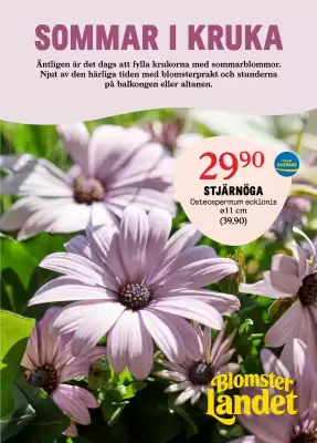 Blomsterlandet reklamblad