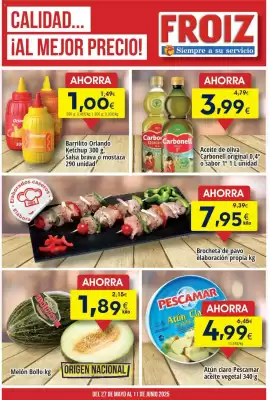 Folleto FROIZ (válido hasta el 11-06)