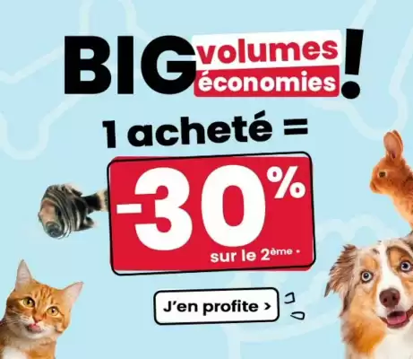 Catalogue Animalis