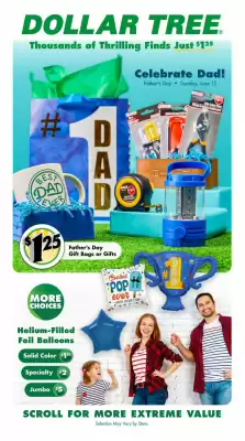 Dollar Tree flyer (valid until 15-06)