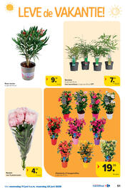 Carrefour folder Pagina 51