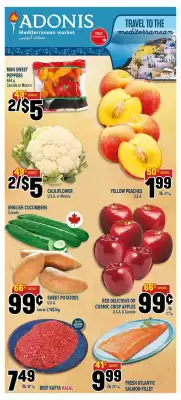 Marché Adonis flyer (valid until 5-06)