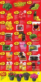 Maxi flyer week 22 Page 6