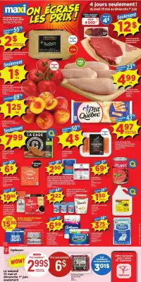 Maxi flyer (valid until 5-06)