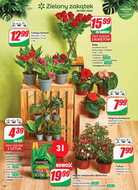 Dino gazetka tydzień 22 Strona 56