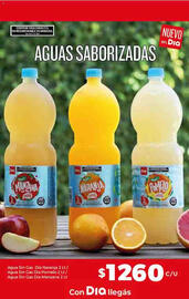 Catálogo Supermercados DIA semana 22 Página 17