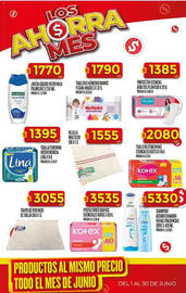 Catálogo Supermercados DIA semana 22 Página 33