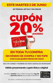 Catálogo Supermercados DIA semana 22 Página 5